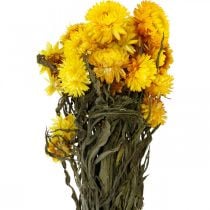 Strohblume Gelb getrocknet Trockenblumen Deko Bund 75g