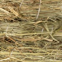 Artikel Heukränze aus Naturgras 26-27 cm, 5 Stück, für Tisch-, Tür- und Fensterdekoration