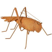 Artikel Heuschrecke Gartendeko Rost Metall Deko zum Stellen 26cm