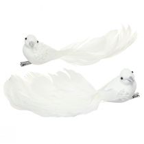 Artikel Taubenpaar 22cm am Clip Weiß