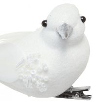 Artikel Taubenpaar 22cm am Clip Weiß