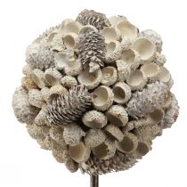 Artikel Holzdeko Baum Winterdeko Birke Eicheln Zapfen Weiss H40cm