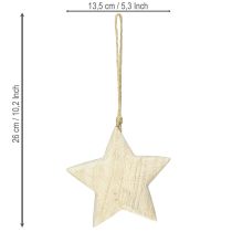 Artikel Holzstern Natur Weihnachtsanhänger Ø13,5cm FSC-Holz