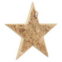Artikel Holzstern aus Birkenrinde mit Kordel Ø20cm natur