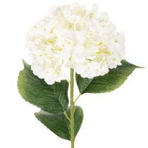 Artikel Hortensie künstlich Creme 60cm langstielig