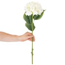 Artikel Hortensie künstlich Creme 60cm langstielig