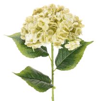Artikel Künstliche Hortensie aus Seidenstoff mit Stiel und Blättern 60 cm creme-grün
