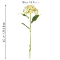 Artikel Künstliche Hortensie aus Seidenstoff mit Stiel und Blättern 60 cm creme-grün