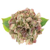 Artikel Künstliche Hortensie mit Stiel 46 cm aus Textil und Kunststoff in Hellgrün mit Rosa-Lila Rändern