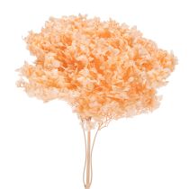 Artikel Hortensie Trockenblumenstrauß für elegante Floristik Dekorationen zuhause 65cm