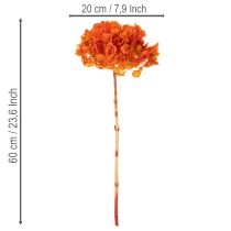 Artikel Konservierte Hortensie orange 60 cm mit grosser Blüte
