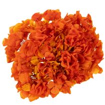 Artikel Konservierte Hortensie orange 60 cm mit grosser Blüte
