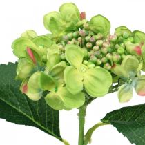 Artikel Künstliche Hortensie aus Seidenstoff Grün 44 cm für Dekoration