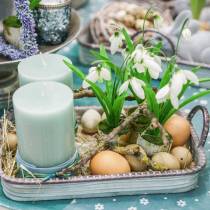 Artikel Hühnereier Braun 10 St