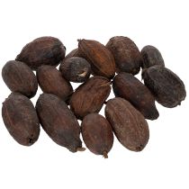 Artikel Kakaofrucht Deko Holz Natur 10-18cm Braun 15 Stück