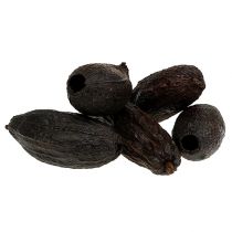 Artikel Kakaofrucht Natur 10-18cm 15St