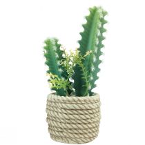 Artikel Kaktus im Topf Kaktus künstlich Sortiert 28cm 2St