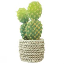 Artikel Künstliche Kakteen im Topf 20-21 cm Grün Beige 2 Stück