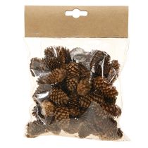 Artikel Kleine Hemlockzapfen Natur Braun 3–4 cm 100 g