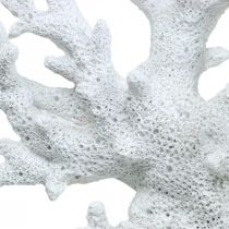 Maritime Deko Koralle Weiß Sommerdeko 14,5×15cm