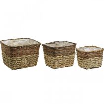 Artikel Pflanzschale eckig aus Naturholz und Schilf, 3er-Set mit Folie, L29,5/26/23cm H21/19/16cm, für Innen- und Aussendekoration