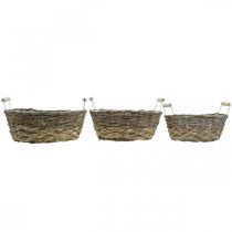 Artikel Naturholz Pflanzkorb Set mit Griffen, weiss gewaschen, oval, 3 Grössen, für Innenbereich, L31/27,5/24cm
