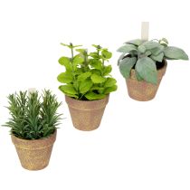 Artikel Künstlicher Kräutertopf mit Dekokräutern aus Kunststoff, 15 cm, Grün, 3er-Set