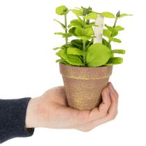 Artikel Künstlicher Kräutertopf mit Dekokräutern aus Kunststoff, 15 cm, Grün, 3er-Set