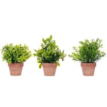 Artikel Künstliche Pflanzen im Tontopf 18 cm Grün 3er-Set für Zimmerdekoration