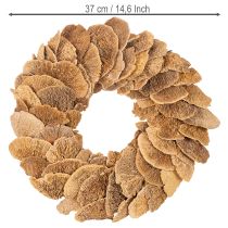Artikel Baumschwamm-Kranz naturfarben 37cm für Tür- und Wanddekoration