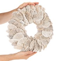 Artikel Kranz aus Baumschwamm weiss 37 cm mit Metallaufhänger für Innenbereich