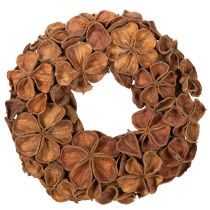 Artikel Türkranz aus getrocknetem Landlotus, braun, 35 cm