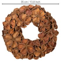 Artikel Türkranz aus getrocknetem Landlotus, braun, 35 cm