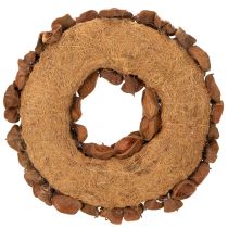 Artikel Türkranz aus getrocknetem Landlotus, braun, 35 cm