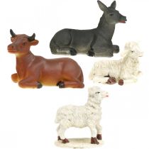 Artikel Krippentiere Set aus Polyresin, 4 Figuren, liegender Ochse, Esel und Schafe, Weiss und Braun
