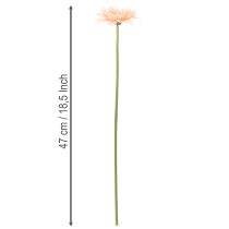 Artikel Künstliche Gerbera Blume Apricot 47cm Kunststoff 6St