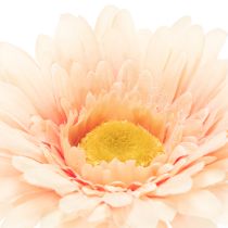 Artikel Künstliche Gerbera Blume Apricot 47cm Kunststoff 6St