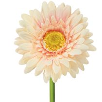 Artikel Künstliche Blumen Gerbera Apricot 47cm