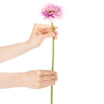 Artikel Künstliche Gerbera aus Kunststoff und Metall, Lila, 47 cm 6St