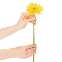 Artikel Künstliche Gerbera in Sonnengelb, 47 cm, Kunststoff und Metall 6St
