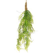 Artikel Künstliche Erbsenpflanze Jute zum Hängen Grün H80cm