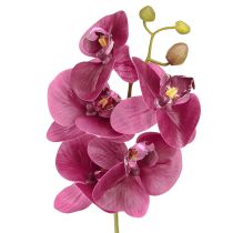Artikel Künstliche Orchideen in Lila, Kunstblumen, 56 cm, 3er-Set