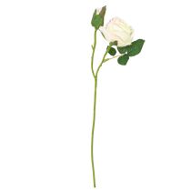 Artikel Künstliche Rosen Kunstblumen Bund Creme 36cm 12St
