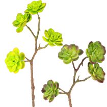 Artikel Künstliche Sukkulenten mit Stiel Grün Lila Sortiert 32cm 2St