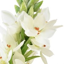 Artikel Künstliche Blume Milchstern Weiß 50cm