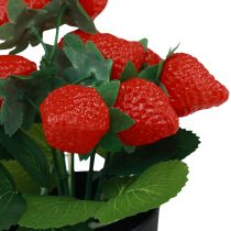 Artikel Künstliche Erdbeer Pflanze im Topf Kunstpflanze 19cm