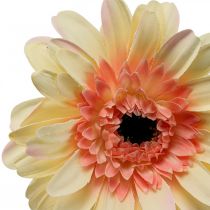 Artikel Künstliche Gerbera Blume Kunstblume Apricot Ø11cm L50cm