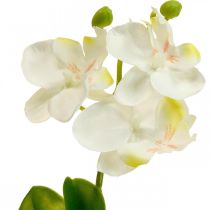 Künstliche Orchideen Kunstblume Orchidee Weiß 20cm