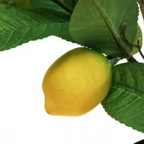 Artikel Künstlicher Zitronenbaum im Topf Zitronenbäumchen H65cm