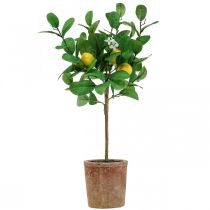 Künstlicher Zitronenbaum im Topf Zitronenbäumchen 58cm